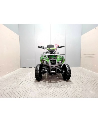 WILDFORCE49 49CC FARM QUAD BIKE ATV BUGGY KIDS 4 WHEELER HUASHENG 2-STROKE MJ MOTORGREEN