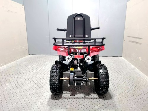 49cc Mini Farm Quad Bike, ATV Buggy Kids, 4 Wheeler Pocket, Pit Dirt Bike in Red