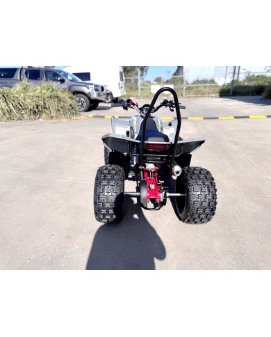 150CC ATV Sport Quad 4 Wheel Buggy Semi Auto ZOOMER GREY kids Adults Off-road