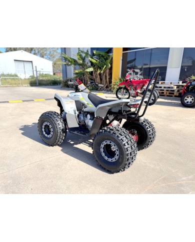 150CC ATV Sport Quad 4 Wheel Buggy Semi Auto ZOOMER GREY kids Adults Off-road