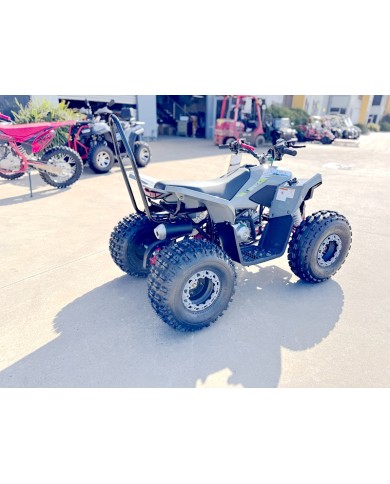 150CC ATV Sport Quad 4 Wheel Buggy Semi Auto ZOOMER GREY kids Adults Off-road