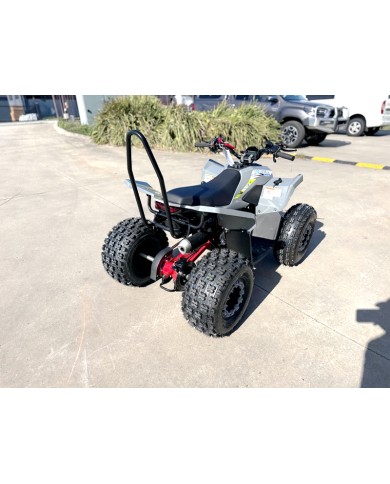 150CC ATV Sport Quad 4 Wheel Buggy Semi Auto ZOOMER GREY kids Adults Off-road