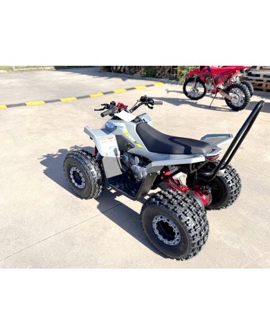 150CC ATV Sport Quad 4 Wheel Buggy Semi Auto ZOOMER GREY kids Adults Off-road
