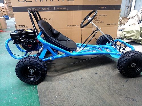 200CC 6.5HP Go Kart Dune Buggy QUAD 4 Stroke Upgraded Adult/Kids Sizes
