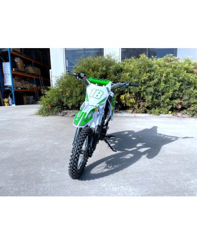 110cc Dirt Bike Trail Pit Bike Motor Electric Start Semi Auto Junior Bike Kid Green