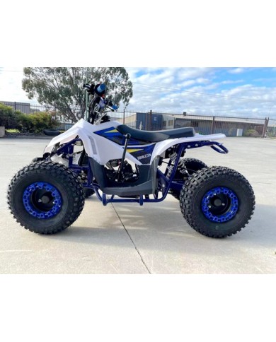 125CC ATV Quad Sport Dirt Bike 4 Wheel Buggy Go kart Rear Rack Semi Auto 1+1 BLUE