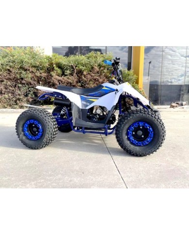 125CC ATV Quad Sport Dirt Bike 4 Wheel Buggy Go kart Rear Rack Semi Auto 1+1 BLUE