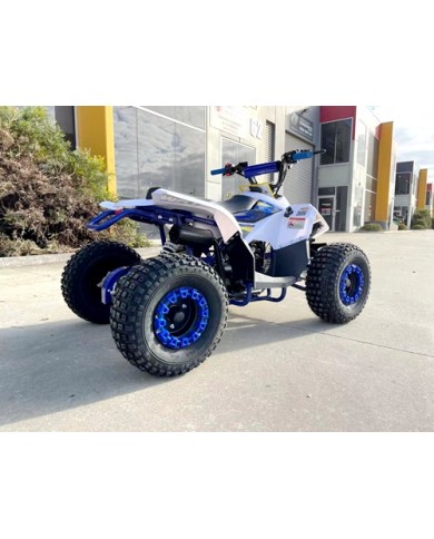125CC ATV Quad Sport Dirt Bike 4 Wheel Buggy Go kart Rear Rack Semi Auto 1+1 BLUE