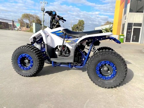 125CC ATV Quad Sport Dirt Bike 4 Wheel Buggy Go kart Rear Rack Semi Auto 1+1 BLUE