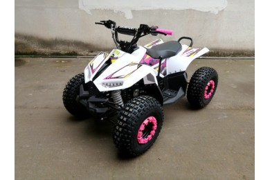 125CC ATV Quad Sport Dirt Bike 4 Wheel Buggy Go kart Rear Rack Semi Auto 1+1 PINK