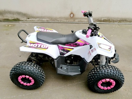 125CC ATV Quad Sport Dirt Bike 4 Wheel Buggy Go kart Rear Rack Semi Auto 1+1 PINK