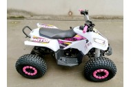 125CC ATV Quad Sport Dirt Bike 4 Wheel Buggy Go kart Rear Rack Semi Auto 1+1 PINK