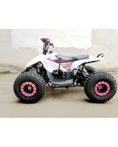 125CC ATV Quad Sport Dirt Bike 4 Wheel Buggy Go kart Rear Rack Semi Auto 1+1 PINK