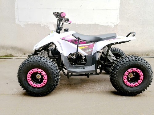 125CC ATV Quad Sport Dirt Bike 4 Wheel Buggy Go kart Rear Rack Semi Auto 1+1 PINK