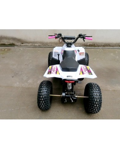 125CC ATV Quad Sport Dirt Bike 4 Wheel Buggy Go kart Rear Rack Semi Auto 1+1 PINK
