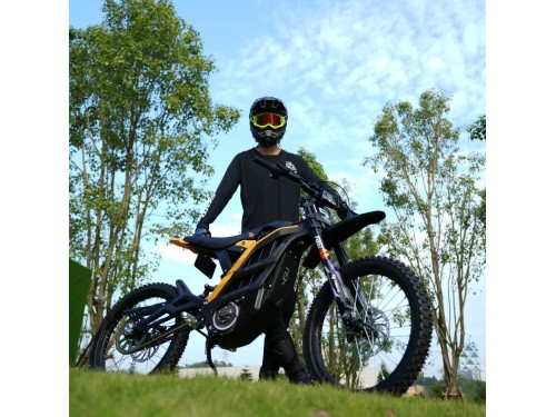 79BIKE FALCON PRO Electric Dirt Bike 10KW 72V 35Ah 90km/h Off Road 120km Range