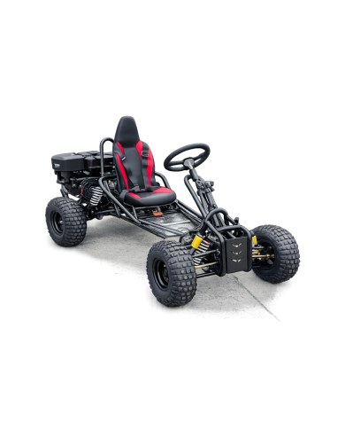Torque420X Go Kart 15hp 420cc Teen Adult Off Road Buggy Torque Converter E-starter