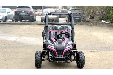 FORZA 1 K1 Dune Buggy 163CC 5.5HP Off Road UTV ATV 2 Seater 4 Wheel Go kart REV PINK