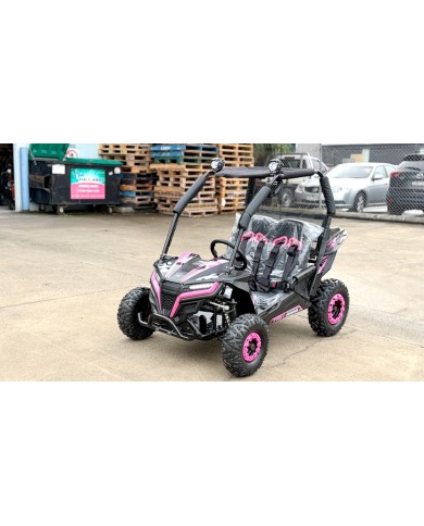 FORZA 1 K1 Dune Buggy 163CC 5.5HP Off Road UTV ATV 2 Seater 4 Wheel Go kart REV PINK