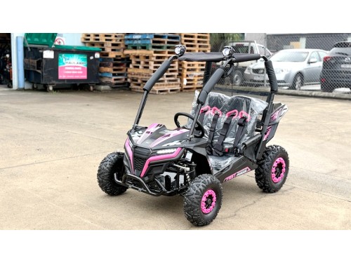 FORZA 1 K1 Dune Buggy 163CC 5.5HP Off Road UTV ATV 2 Seater 4 Wheel Go kart REV PINK