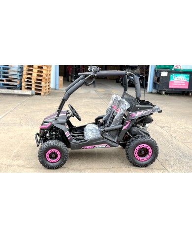 FORZA 1 K1 Dune Buggy 163CC 5.5HP Off Road UTV ATV 2 Seater 4 Wheel Go kart REV PINK