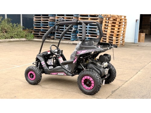 FORZA 1 K1 Dune Buggy 163CC 5.5HP Off Road UTV ATV 2 Seater 4 Wheel Go kart REV PINK