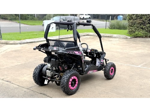 FORZA 1 K1 Dune Buggy 163CC 5.5HP Off Road UTV ATV 2 Seater 4 Wheel Go kart REV PINK