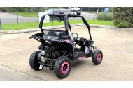 FORZA 1 K1 Dune Buggy 163CC 5.5HP Off Road UTV ATV 2 Seater 4 Wheel Go kart REV PINK