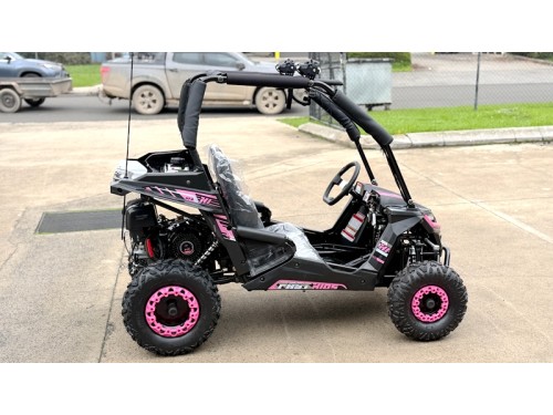 FORZA 1 K1 Dune Buggy 163CC 5.5HP Off Road UTV ATV 2 Seater 4 Wheel Go kart REV PINK