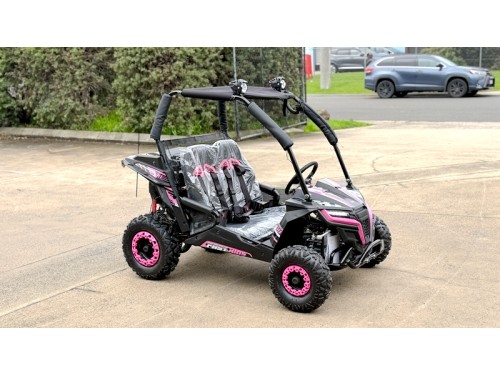 FORZA 1 K1 Dune Buggy 163CC 5.5HP Off Road UTV ATV 2 Seater 4 Wheel Go kart REV PINK