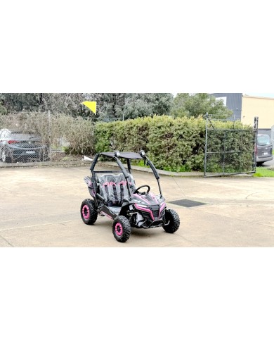 FORZA 1 K1 Dune Buggy 163CC 5.5HP Off Road UTV ATV 2 Seater 4 Wheel Go kart REV PINK
