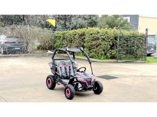 FORZA 1 K1 Dune Buggy 163CC 5.5HP Off Road UTV ATV 2 Seater 4 Wheel Go kart REV PINK