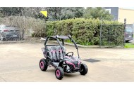 FORZA 1 K1 Dune Buggy 163CC 5.5HP Off Road UTV ATV 2 Seater 4 Wheel Go kart REV PINK