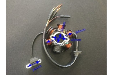 6 Coil Pole Magneto Flywheel Stator 110cc 125cc PIT Quad Dirt Bike ATV Buggy