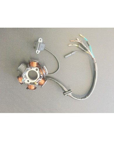 6 Coil Pole Magneto Flywheel Stator 110cc 125cc PIT Quad Dirt Bike ATV Buggy