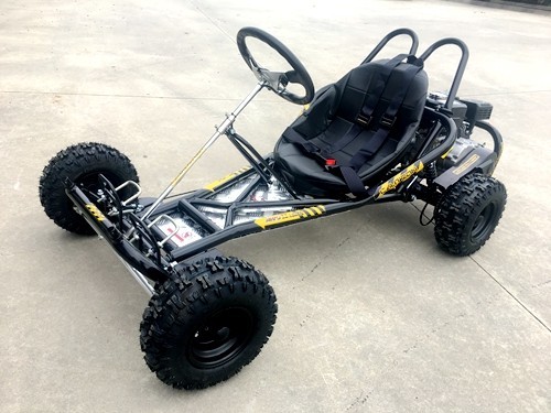 200cc 6.5HP Go Kart Wet Clutch Dune Buggy ATV Quad 4 Stroke Adult/Teen/Kid Sizes