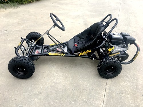 200cc 6.5HP Go Kart Wet Clutch Dune Buggy ATV Quad 4 Stroke Adult/Teen/Kid Sizes
