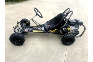 200cc 6.5HP Go Kart Wet Clutch Dune Buggy ATV Quad 4 Stroke Adult/Teen/Kid Sizes