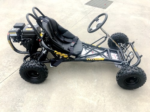 200cc 6.5HP Go Kart Wet Clutch Dune Buggy ATV Quad 4 Stroke Adult/Teen/Kid Sizes