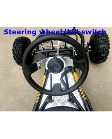 200cc 6.5HP Go Kart Wet Clutch Dune Buggy ATV Quad 4 Stroke Adult/Teen/Kid Sizes