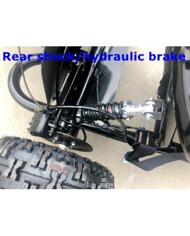 200cc 6.5HP Go Kart Wet Clutch Dune Buggy ATV Quad 4 Stroke Adult/Teen/Kid Sizes