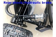 200cc 6.5HP Go Kart Wet Clutch Dune Buggy ATV Quad 4 Stroke Adult/Teen/Kid Sizes