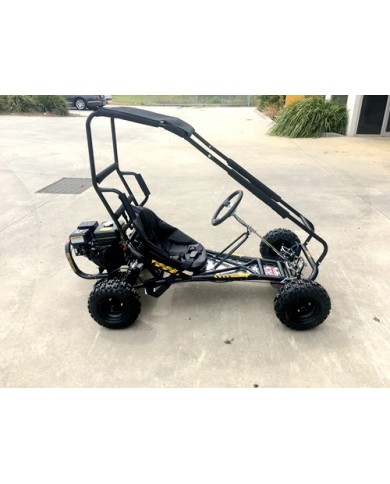 200cc 6.5HP Go Kart Wet Clutch Dune Buggy ATV Quad 4 Stroke Adult/Teen/Kid Sizes