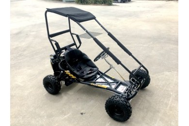200cc 6.5HP Go Kart Wet Clutch Dune Buggy ATV Quad 4 Stroke Top Roll Cage