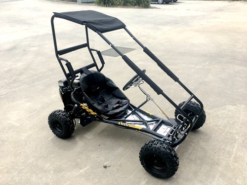 200cc 6.5HP Go Kart Wet Clutch Dune Buggy ATV Quad 4 Stroke Top Roll Cage