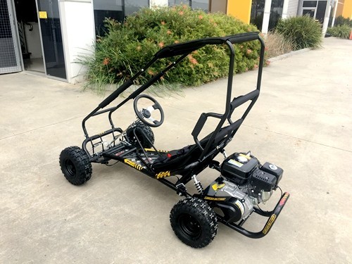 200cc 6.5HP Go Kart Wet Clutch Dune Buggy ATV Quad 4 Stroke Top Roll Cage