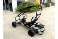 200cc 6.5HP Go Kart Wet Clutch Dune Buggy ATV Quad 4 Stroke Top Roll Cage