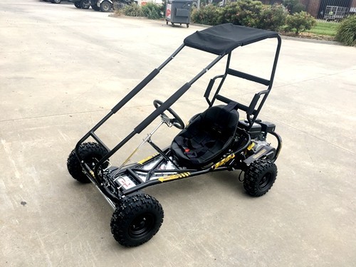 200cc 6.5HP Go Kart Wet Clutch Dune Buggy ATV Quad 4 Stroke Top Roll Cage