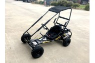 200cc 6.5HP Go Kart Wet Clutch Dune Buggy ATV Quad 4 Stroke Top Roll Cage
