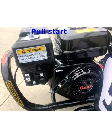 200cc 6.5HP Go Kart Wet Clutch Dune Buggy ATV Quad 4 Stroke Top Roll Cage